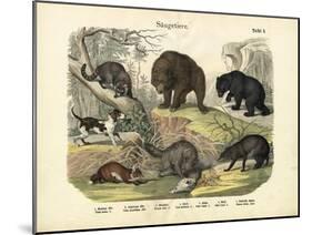 Mammals, C.1860-null-Mounted Giclee Print