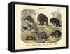 Mammals, C.1860-null-Framed Stretched Canvas