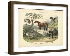 Mammals, C.1860-null-Framed Giclee Print