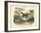 Mammals, C.1860-null-Framed Giclee Print