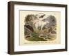 Mammals, C.1860-null-Framed Giclee Print