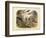 Mammals, C.1860-null-Framed Giclee Print