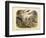 Mammals, C.1860-null-Framed Giclee Print