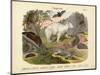 Mammals, C.1860-null-Mounted Giclee Print