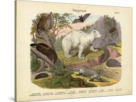 Mammals, C.1860-null-Stretched Canvas