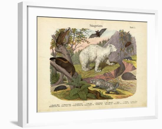 Mammals, C.1860-null-Framed Giclee Print