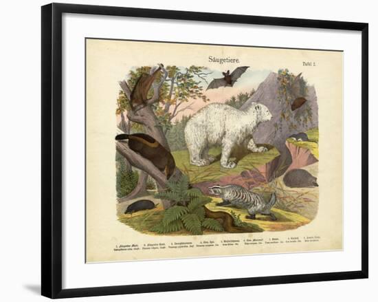 Mammals, C.1860-null-Framed Giclee Print