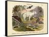 Mammals, C.1860-null-Framed Stretched Canvas