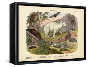 Mammals, C.1860-null-Framed Stretched Canvas