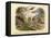 Mammals, C.1860-null-Framed Stretched Canvas