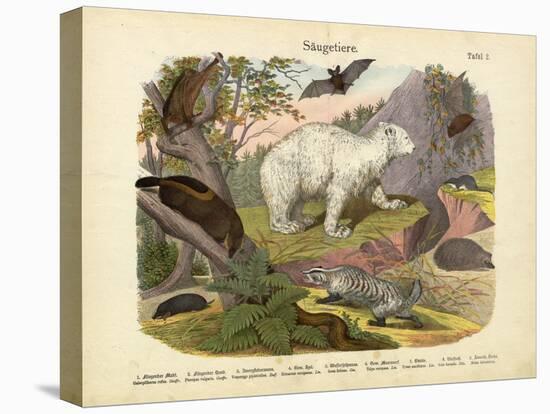 Mammals, C.1860-null-Stretched Canvas