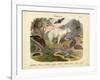 Mammals, C.1860-null-Framed Giclee Print