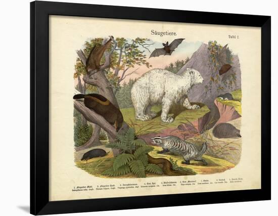 Mammals, C.1860-null-Framed Giclee Print