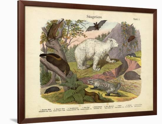 Mammals, C.1860-null-Framed Giclee Print