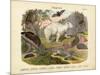 Mammals, C.1860-null-Mounted Giclee Print