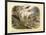 Mammals, C.1860-null-Framed Giclee Print