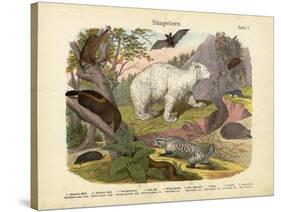 Mammals, C.1860-null-Stretched Canvas