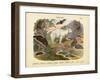 Mammals, C.1860-null-Framed Giclee Print