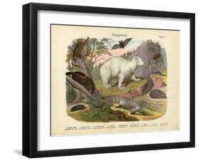 Mammals, C.1860-null-Framed Giclee Print