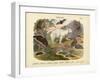 Mammals, C.1860-null-Framed Giclee Print