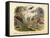 Mammals, C.1860-null-Framed Stretched Canvas