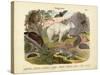 Mammals, C.1860-null-Stretched Canvas