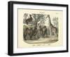 Mammals, C.1860-null-Framed Giclee Print