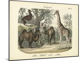 Mammals, C.1860-null-Mounted Giclee Print