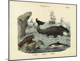 Mammals, C.1860-null-Mounted Giclee Print