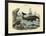 Mammals, C.1860-null-Framed Giclee Print