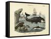 Mammals, C.1860-null-Framed Stretched Canvas