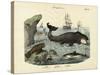 Mammals, C.1860-null-Stretched Canvas