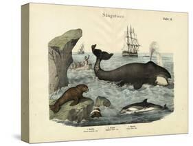 Mammals, C.1860-null-Stretched Canvas