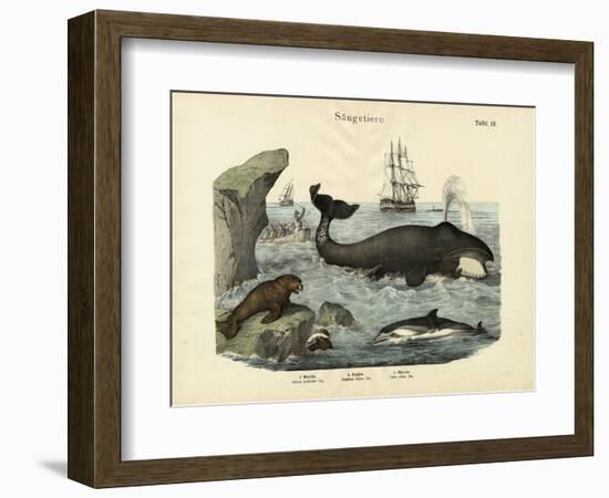 Mammals, C.1860-null-Framed Giclee Print