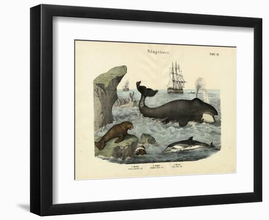 Mammals, C.1860-null-Framed Giclee Print