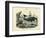 Mammals, C.1860-null-Framed Giclee Print