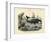 Mammals, C.1860-null-Framed Giclee Print