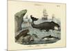 Mammals, C.1860-null-Mounted Giclee Print