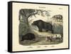 Mammals, C.1860-null-Framed Stretched Canvas