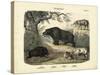 Mammals, C.1860-null-Stretched Canvas