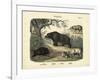 Mammals, C.1860-null-Framed Giclee Print