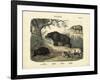 Mammals, C.1860-null-Framed Giclee Print