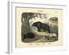 Mammals, C.1860-null-Framed Giclee Print