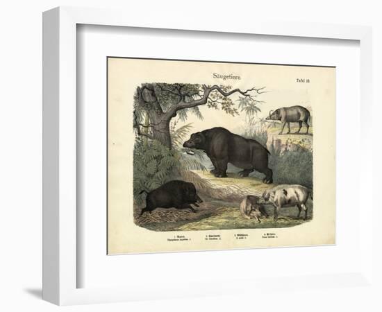 Mammals, C.1860-null-Framed Premium Giclee Print