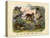 Mammals, C.1860-null-Stretched Canvas