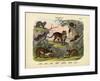 Mammals, C.1860-null-Framed Giclee Print