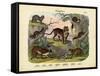 Mammals, C.1860-null-Framed Stretched Canvas