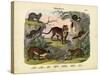 Mammals, C.1860-null-Stretched Canvas