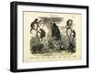 Mammals, C.1860-null-Framed Giclee Print