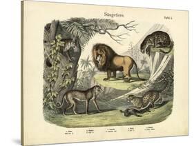 Mammals, C.1860-null-Stretched Canvas